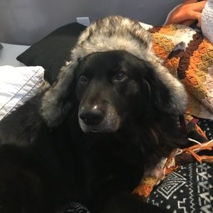 Meet your Posher, Karen